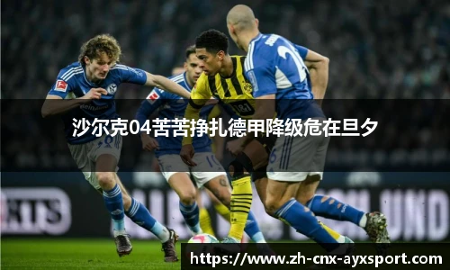 沙尔克04苦苦挣扎德甲降级危在旦夕